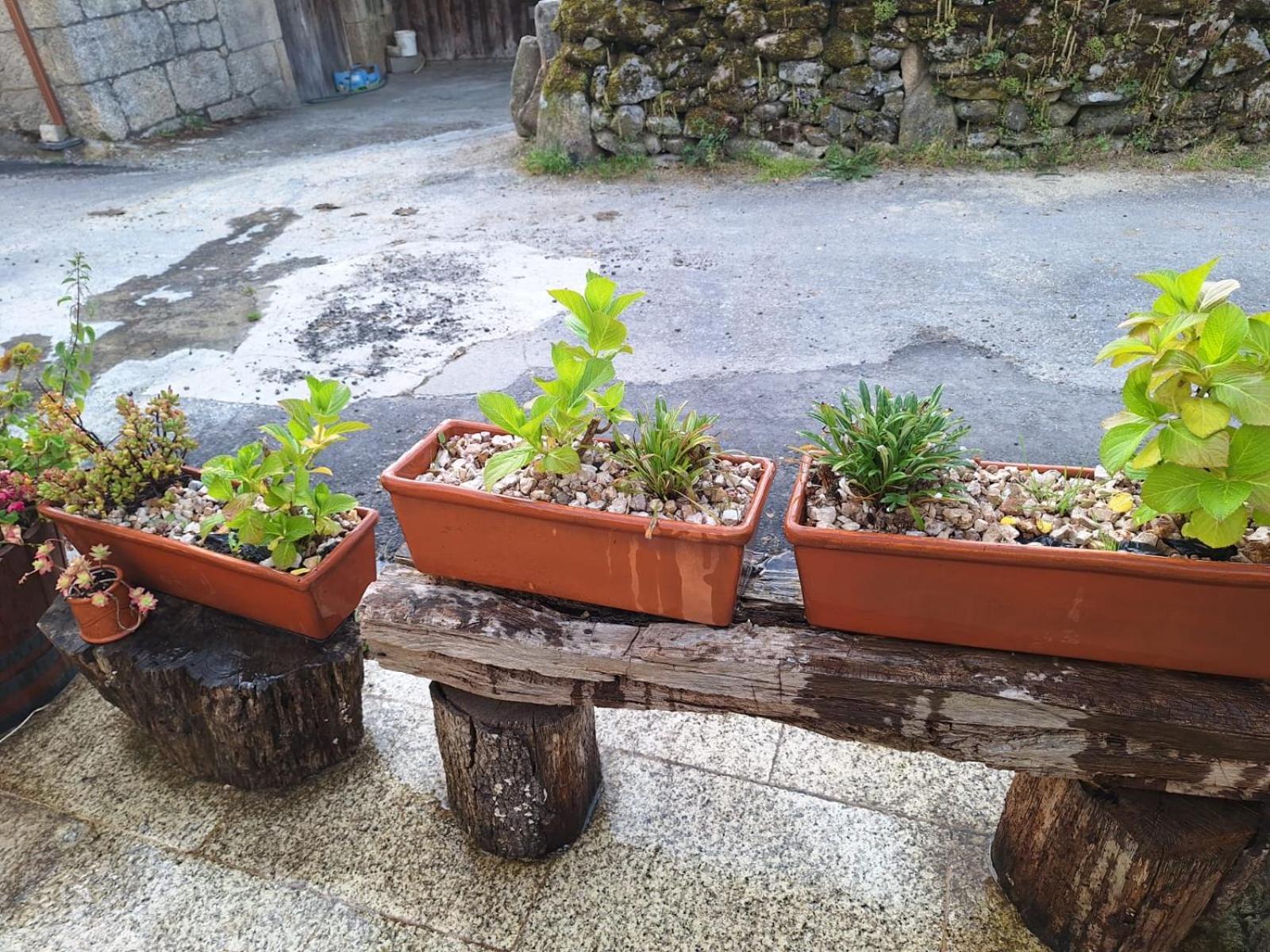Pension O Corazon Da Ribeira Sacra La Teijeira Buitenkant foto