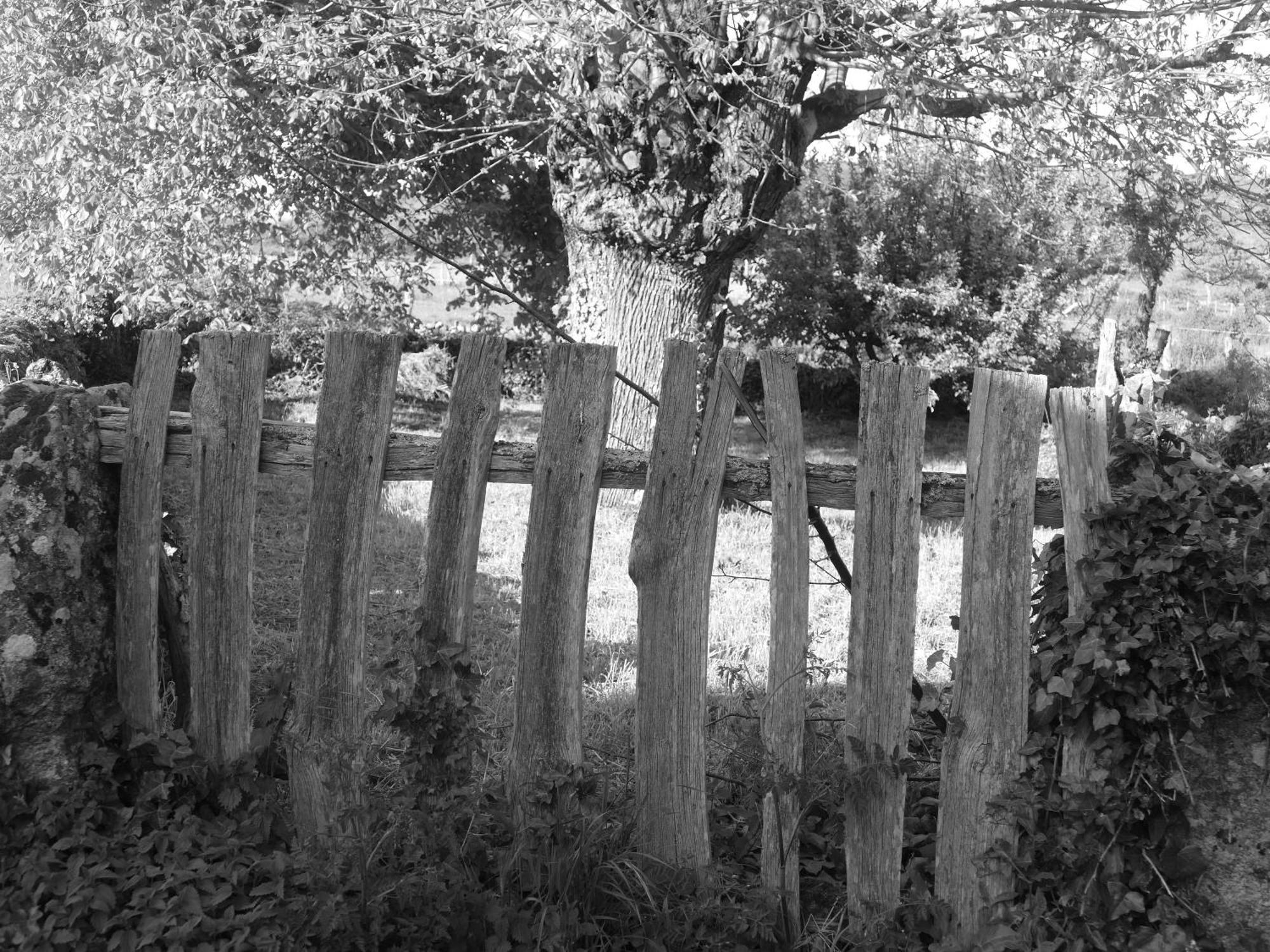 Pension O Corazon Da Ribeira Sacra La Teijeira Buitenkant foto